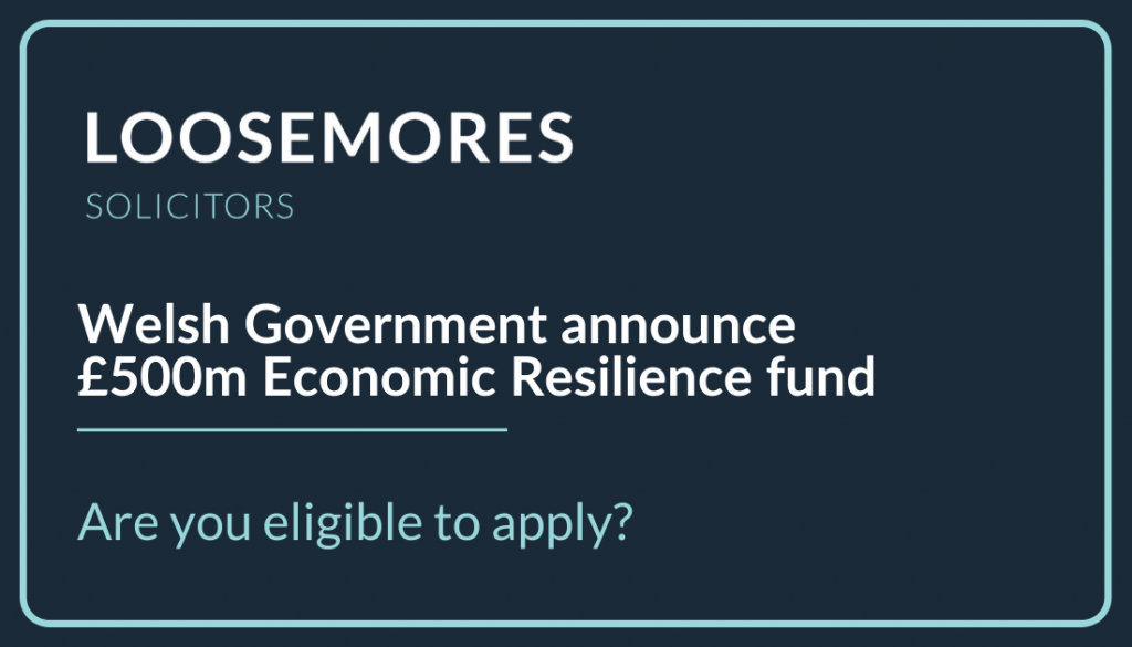 Economic Resilience Fund